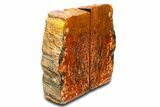 Tall, Arizona Petrified Wood Bookends - Brick Red #307173-2